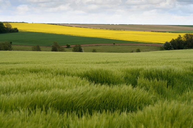 Visit the Lincolnshire Wolds
