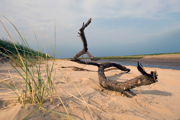 Self catering near the Lincolnshire coast