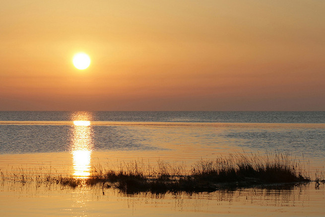 Holiday cottage near Freiston Shore - Earlscroft Farm